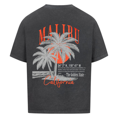 Malibu, Californien, Los Ageles, Miami, The Golden State, Summer, Beach, Palms, Sun